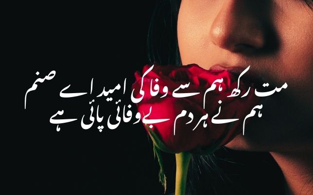 Best Bewafa Poetry in Urdu: 2-Line Shayari (2025)