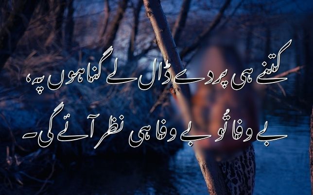 Top Love Bewafa Shayari with couple lines