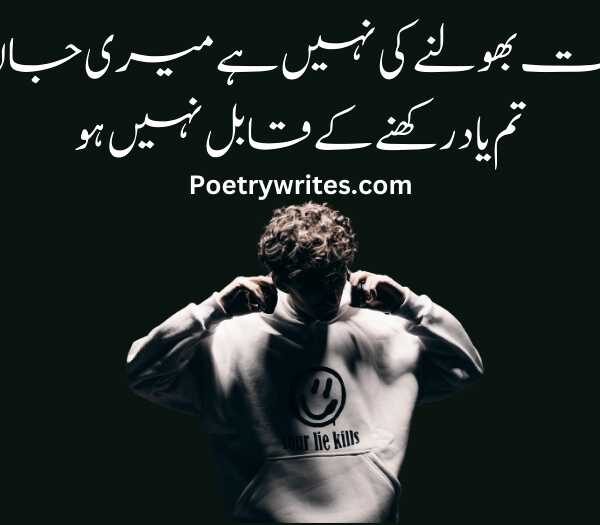 Best Attitude Poetry in Urdu 2 Lines Text - Attitude Shayari (2025)