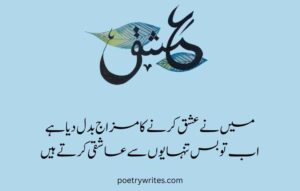 Ishq Poetry in Urdu - Top 2 Lines Ishq Shayari for Lovers