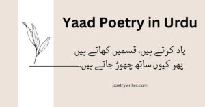 Yaad Poetry In Urdu- Best Yaad Shayari 2 Lines