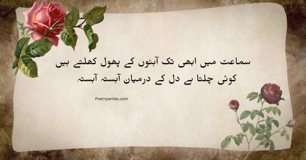 rose poetry in urdu with roses background about flowers blooming and heart’s emotions.
