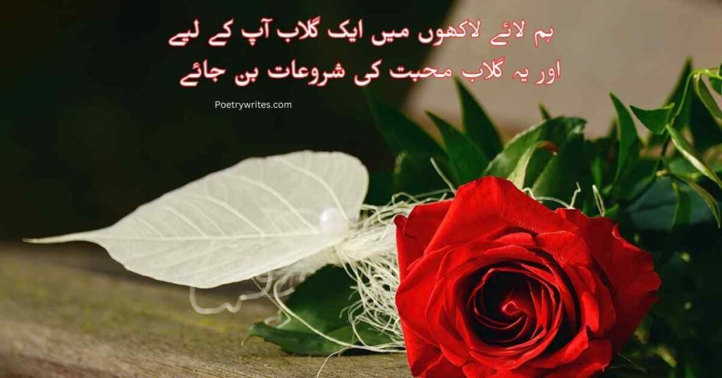 Romantic Urdu poetry for girls on red rose symbolizing love.