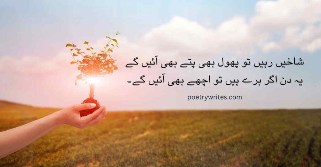 Best 50 Deep Life Quotes in Urdu About Success